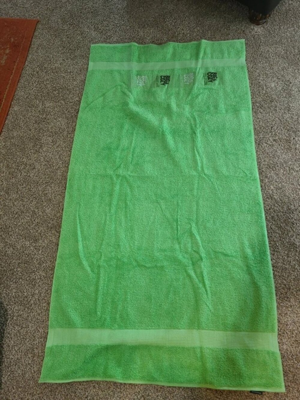 VTG NWT Elegance Lady Pepperell Bath Towel 54" x 30" Apple Green 100% Cotton